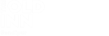 old-inn-white-logo.png